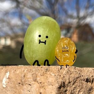 Meet your Posher, Betty